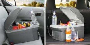 The type of electric cooler